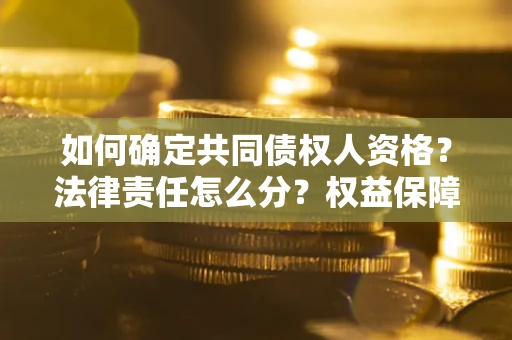 北京如何确定共同债权人资格？法律责任怎么分？权益保障技巧揭秘！