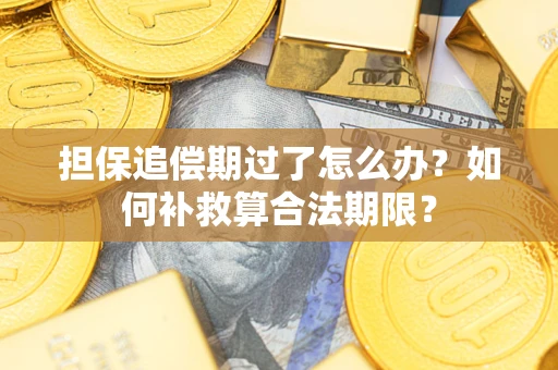 北京担保追偿期过了怎么办？如何补救算合法期限？